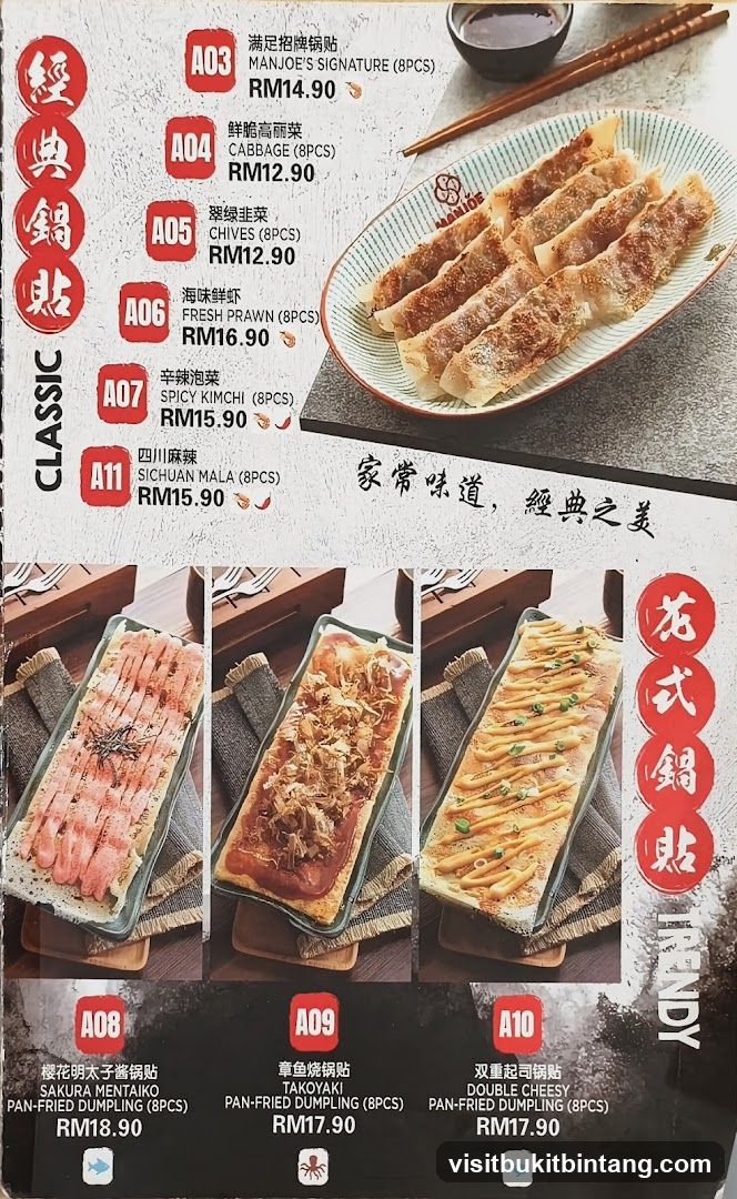 Classic & Trendy Pan-Fried Dumplings