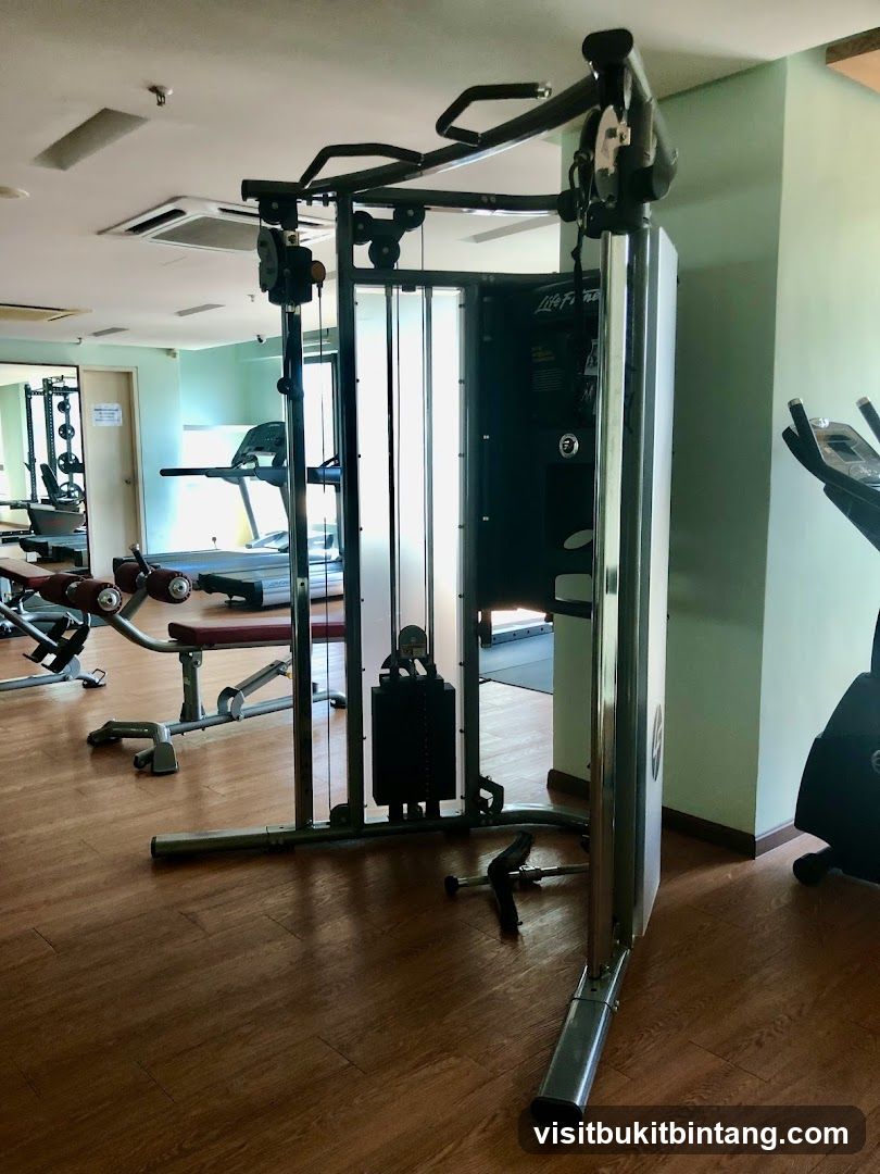 i-Zen Kiara 1 & Kiara 2