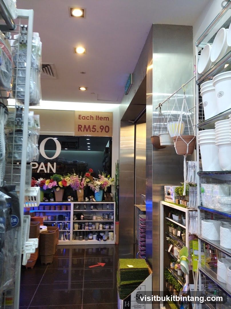 Store Interior with Flower Display and Shelving