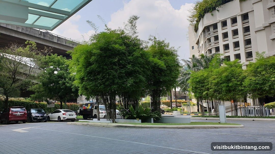 Urban landscape with bamboo and buildings