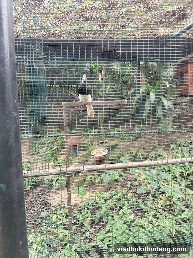 Bird in enclosure