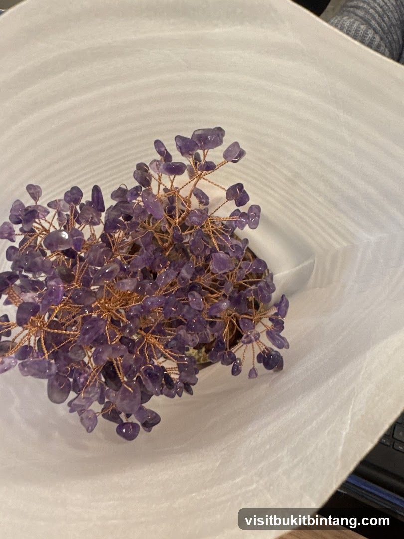 ScentsCity