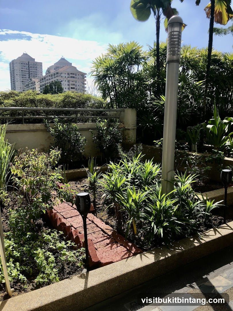 Urban Garden with Cityscape View