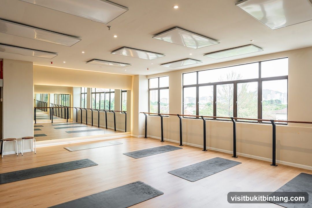 Dance Studio with Barre and Yoga Mats