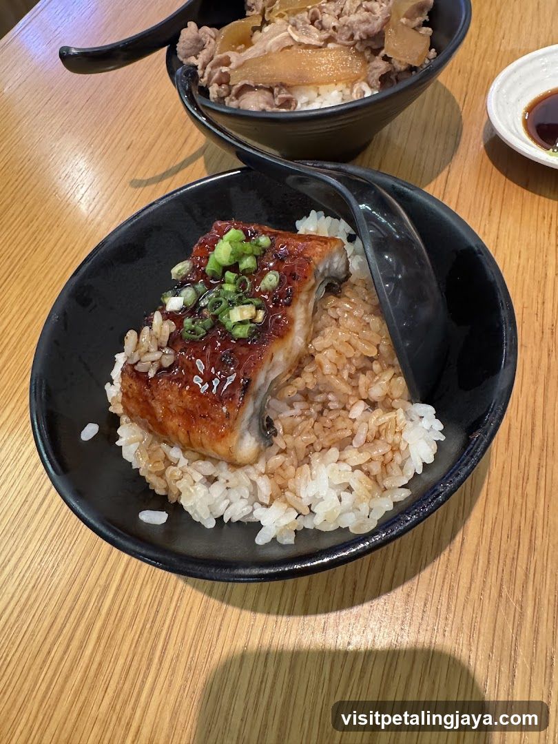 Eel Rice Bowl