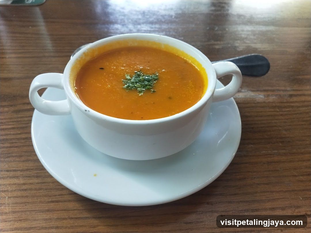 Soup in a Cup