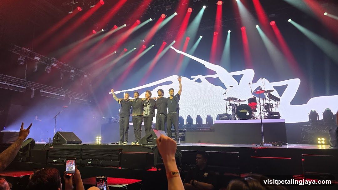 Live Concert Performance