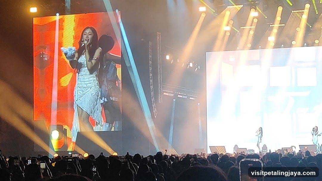 Live Concert Performance
