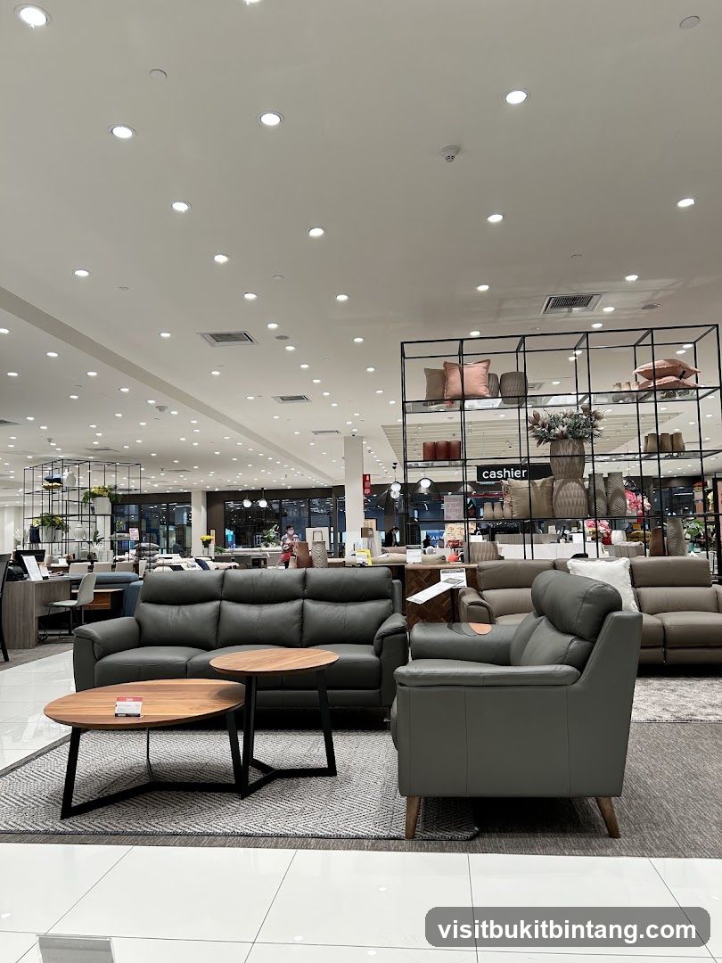 Furniture Store Display
