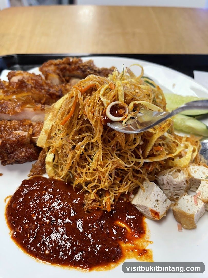 Fried Noodles with Chicken and Sambal