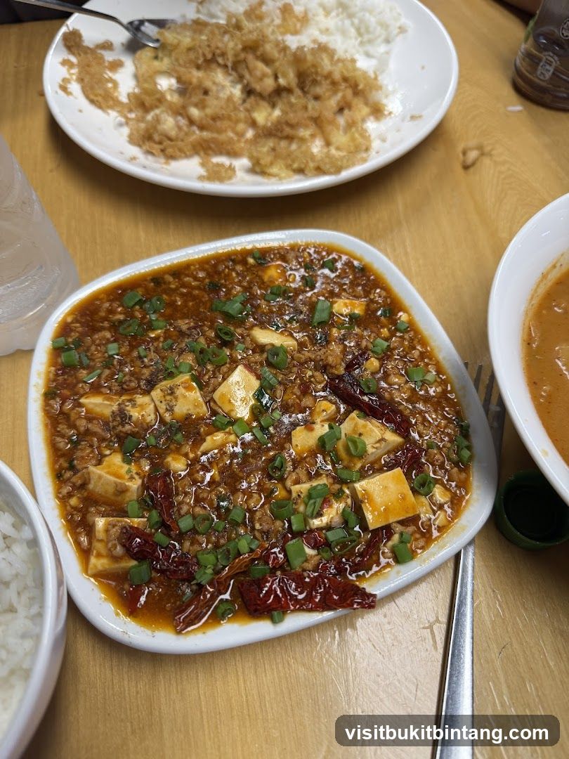 Mapo Tofu with Rice