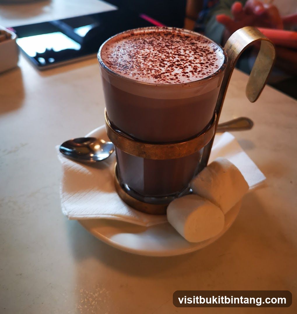 Hot Chocolate with Marshmallows