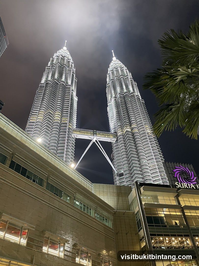 Petronas Towers at Night