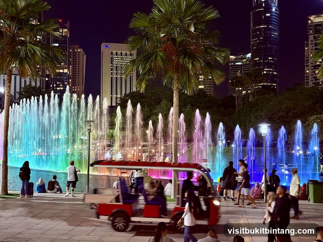 Nighttime Fountain Show with Pedicab