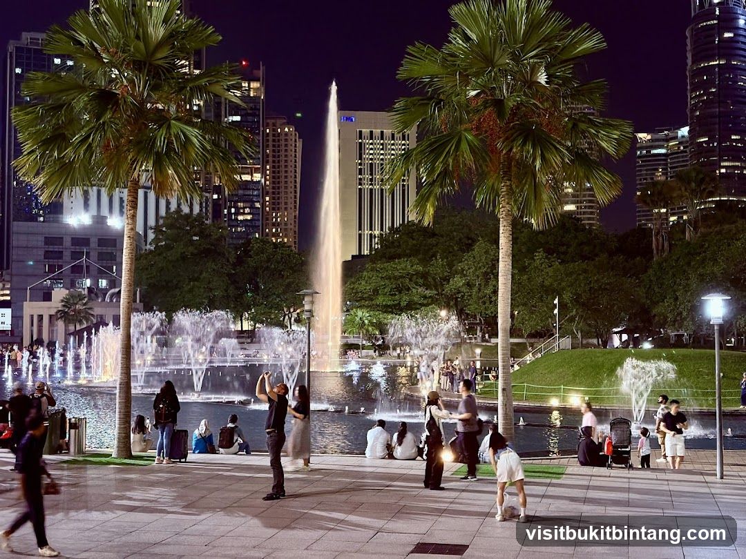Nighttime Fountain Display in a City Park