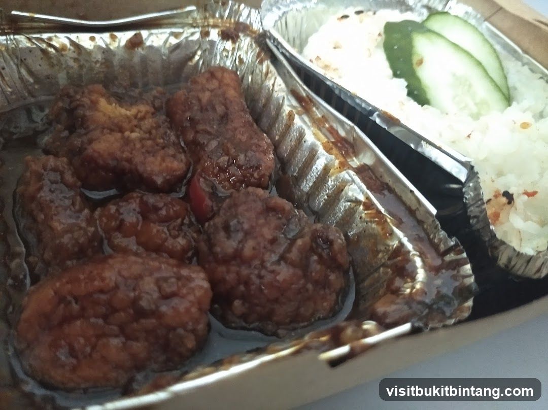 Food Container with Meat and Rice