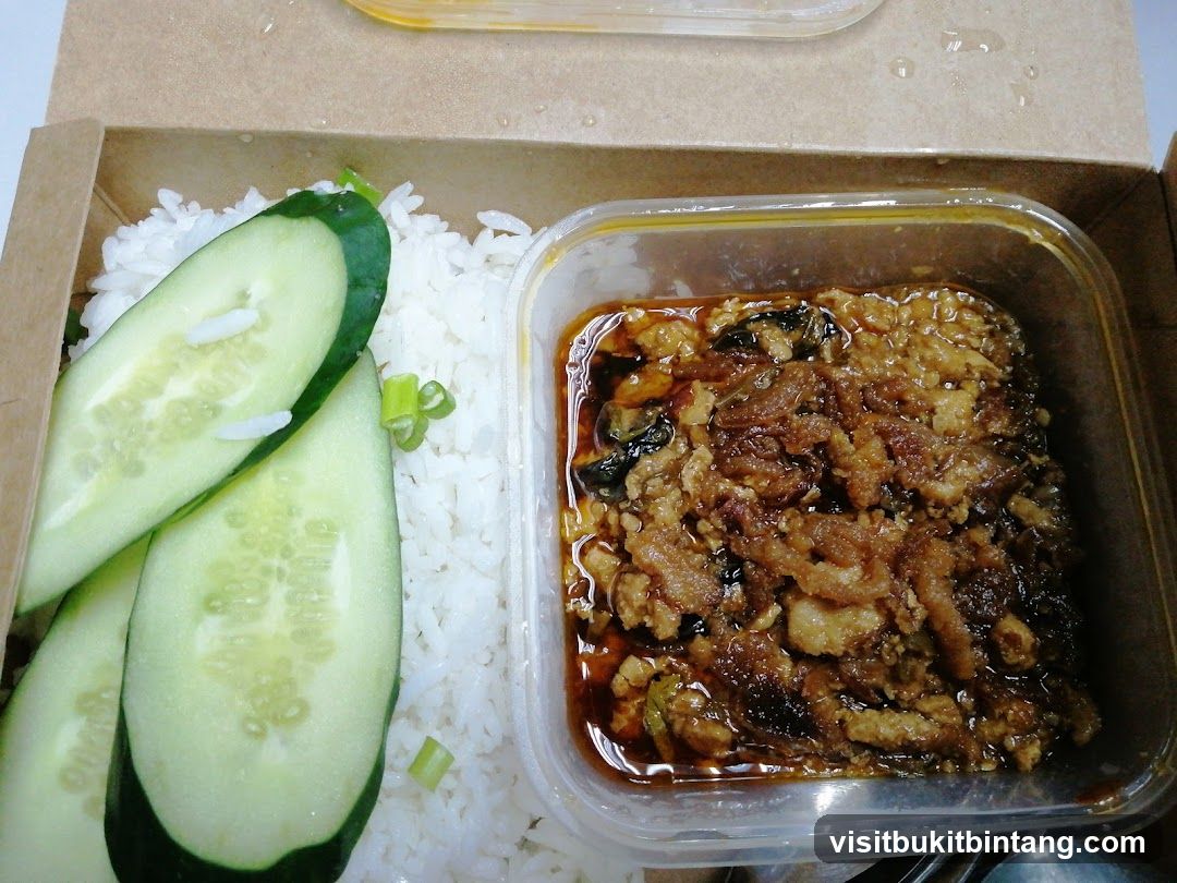 Takeaway Meal with Rice and Meat