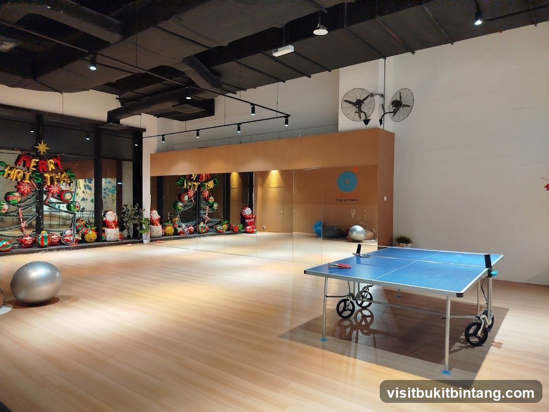 Indoor Recreation Space with Christmas Decorations