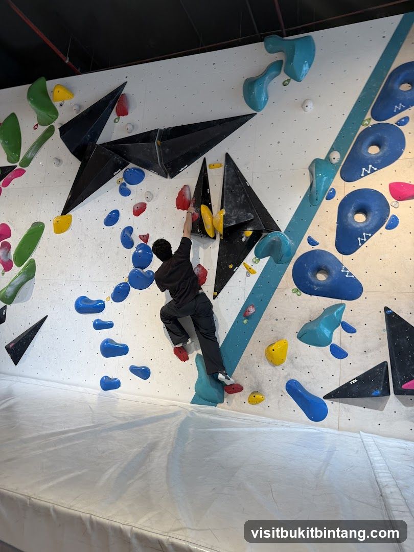 Climbing Wall