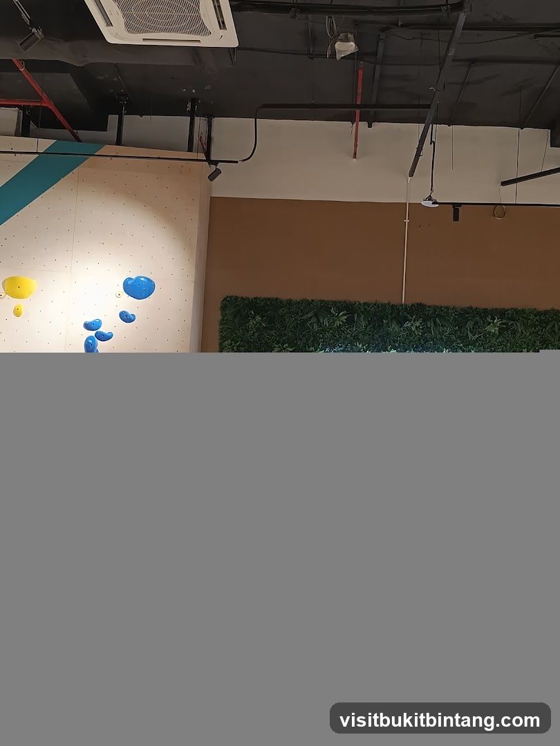 Climbing wall with colorful holds