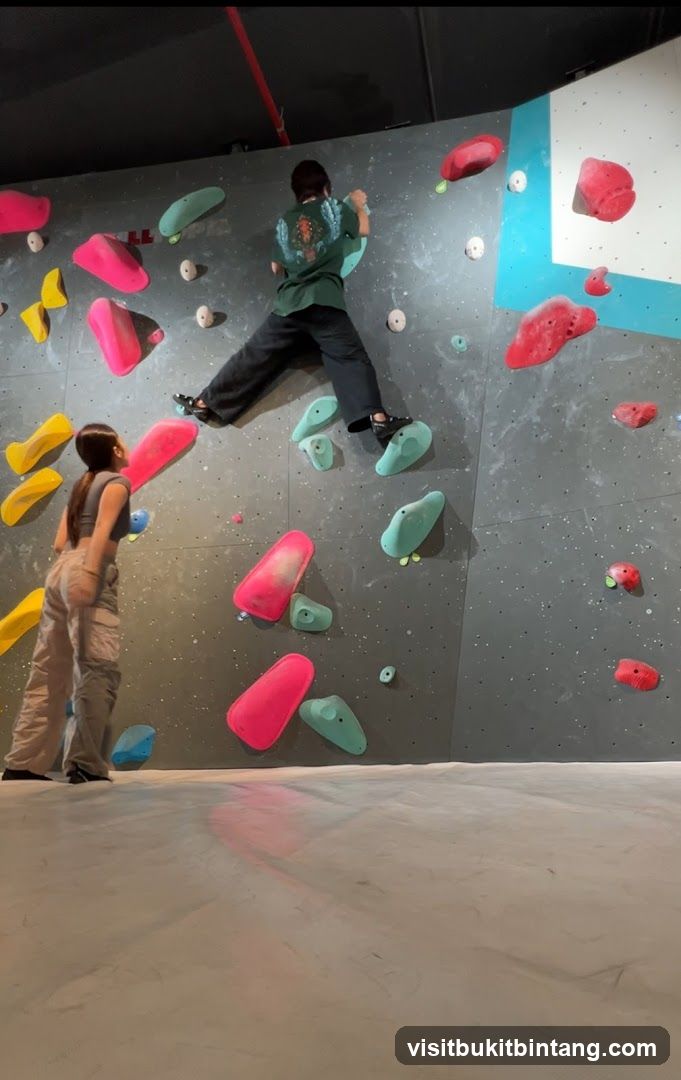 Bouldering Wall