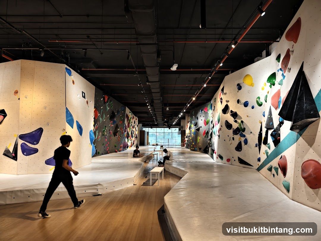 Indoor Climbing Gym
