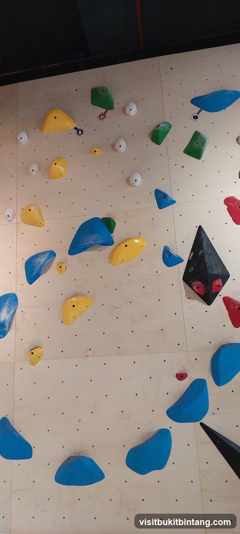 Climbing Wall Holds