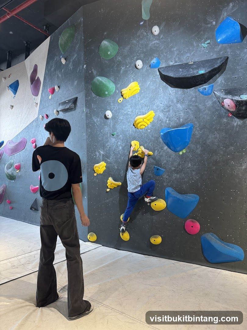 Climbing Wall