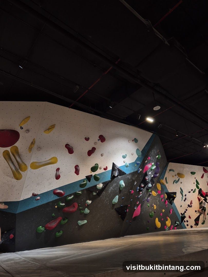 Indoor Climbing Walls