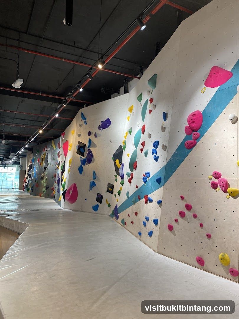 Indoor Climbing Gym