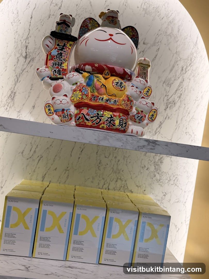 Maneki-neko and product boxes