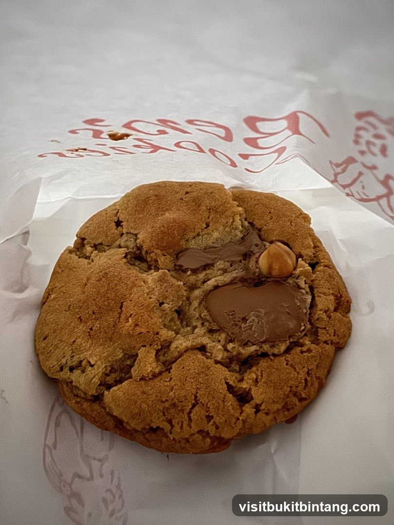 Chocolate Chip Cookie