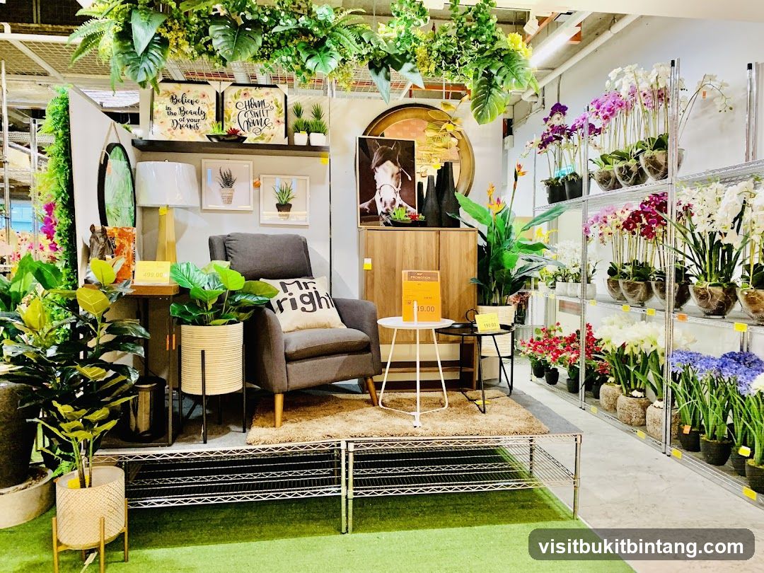 Home Decor Display