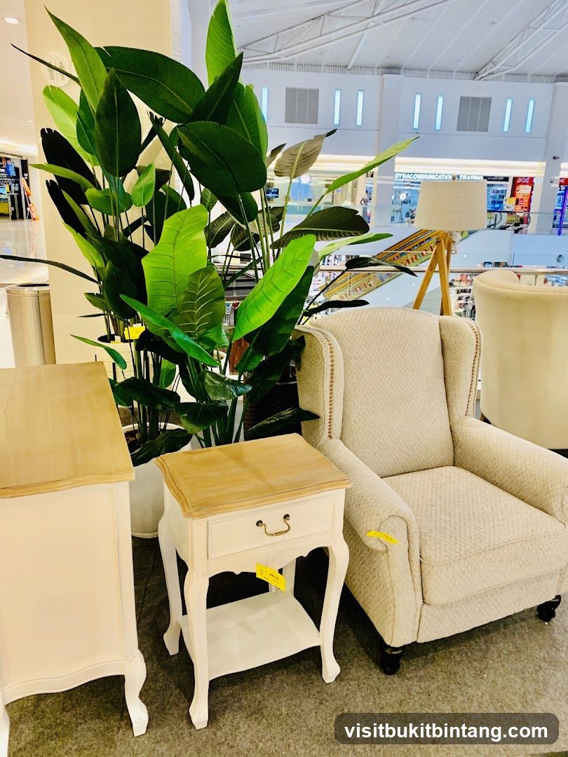 Furniture Display