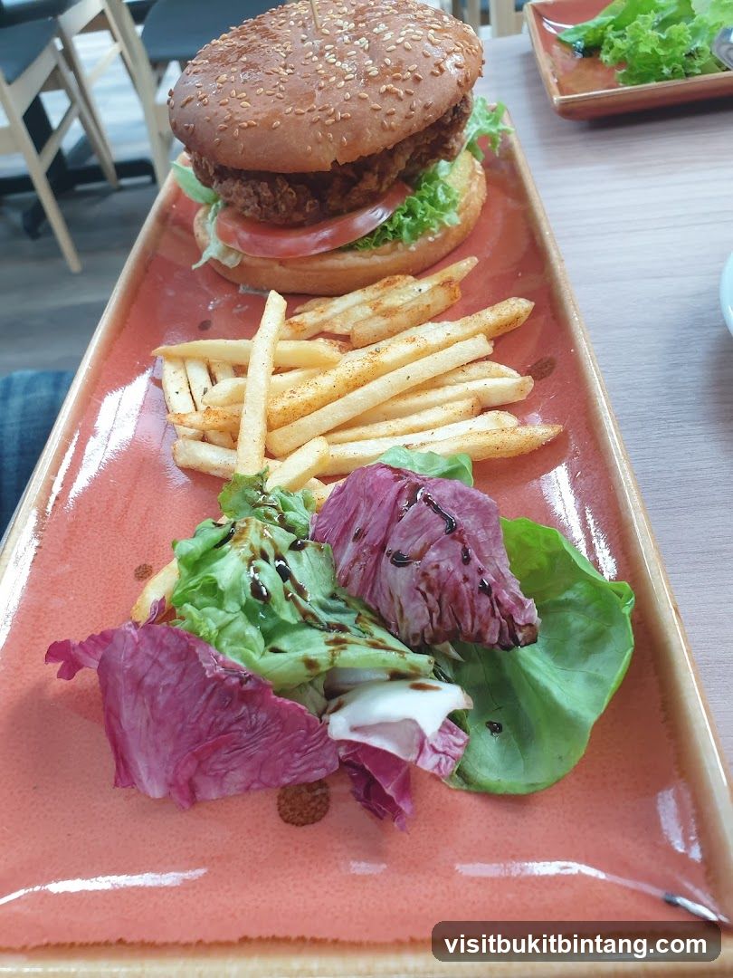 Burger with Fries and Salad