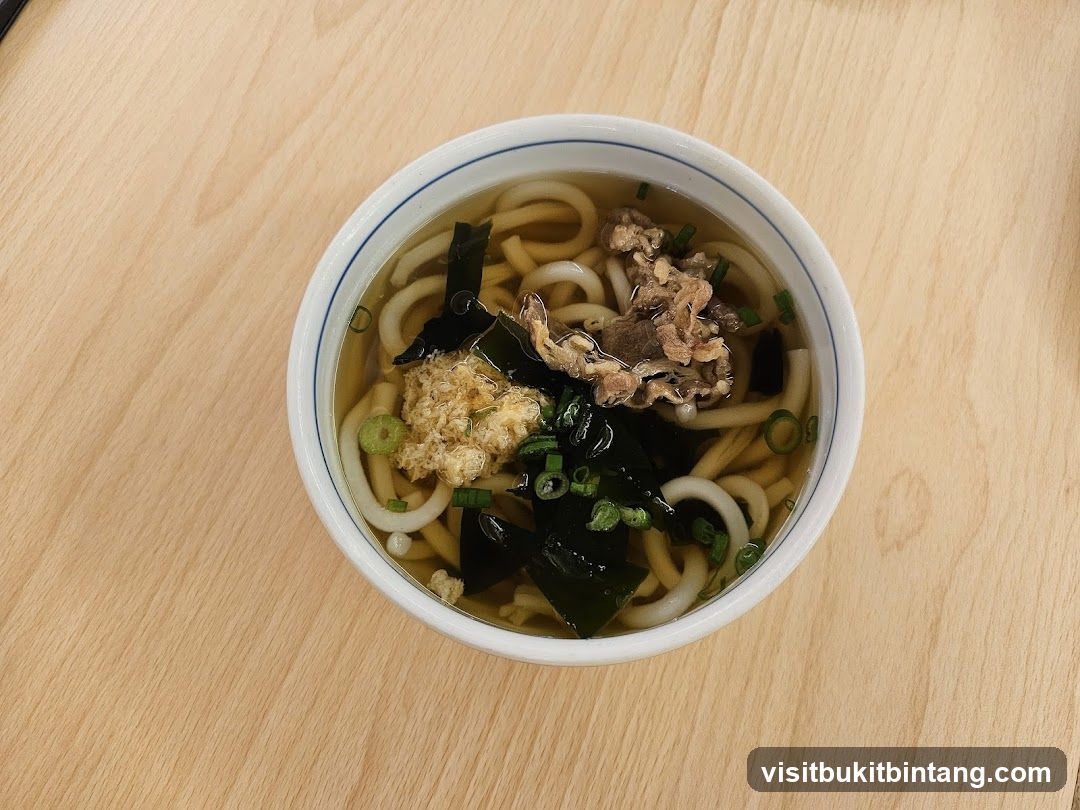 Beef Udon Soup