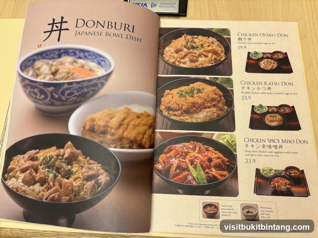 DONBURI JAPANESE BOWL DISH