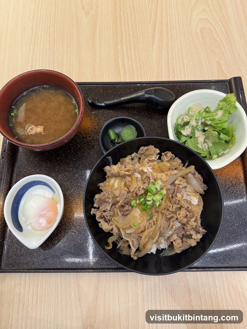 Beef Bowl Set