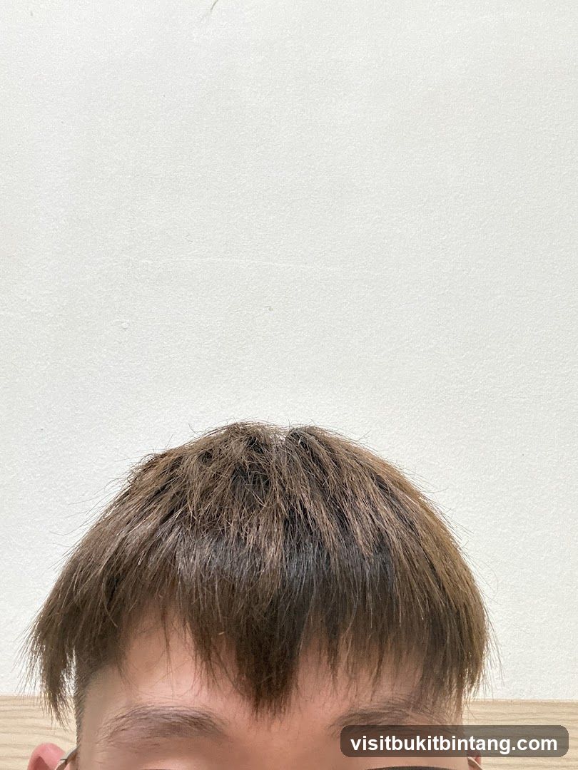 Person's Hair and Forehead