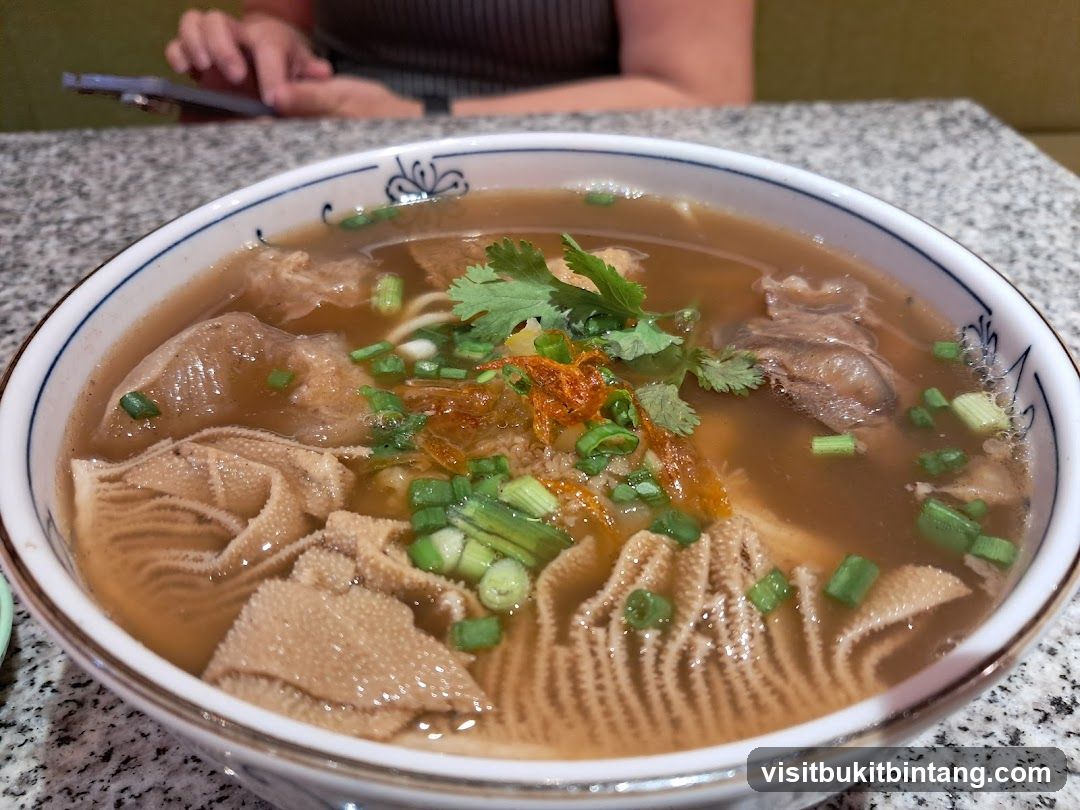 Beef Tripe Noodle Soup
