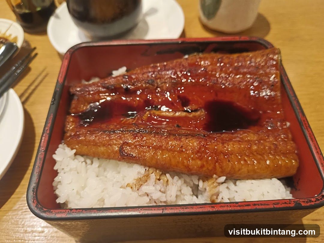 Unagi Donburi