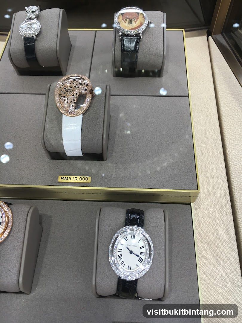 Luxury Watches Display