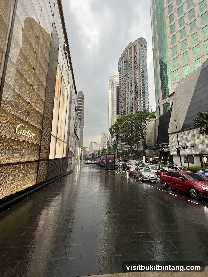 Cartier and Louis Vuitton Storefronts