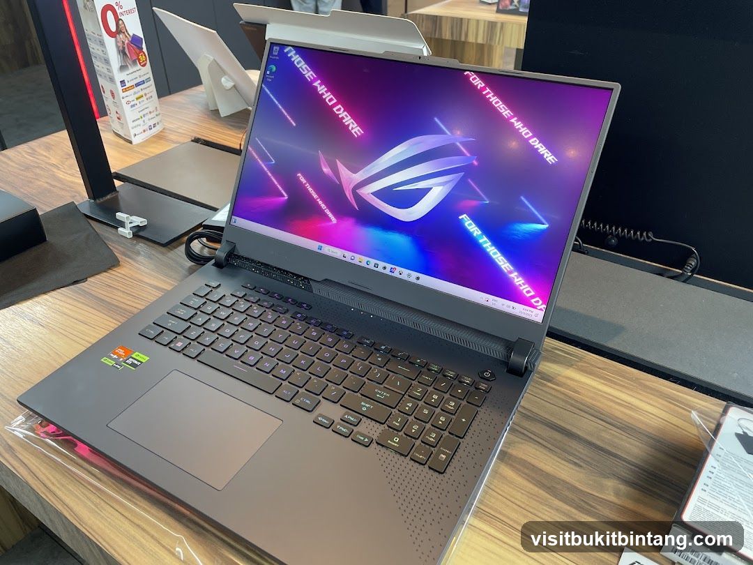 Gaming Laptop Display