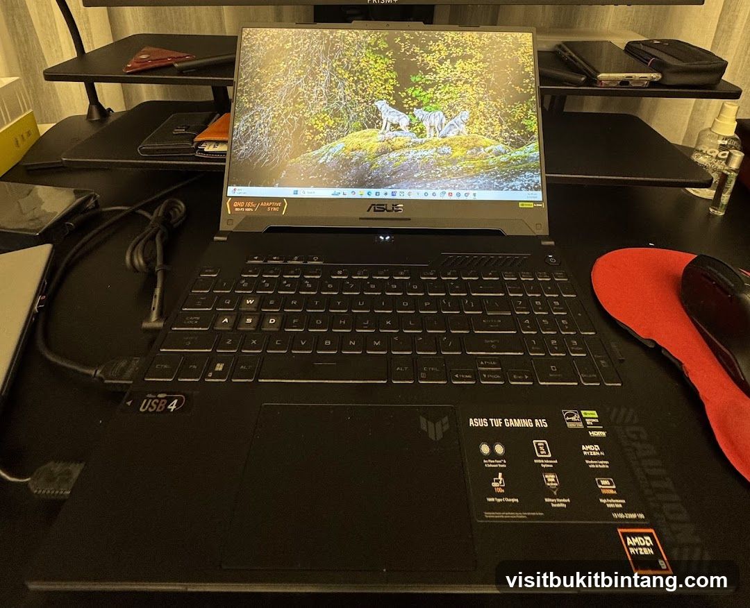 Gaming Laptop Setup