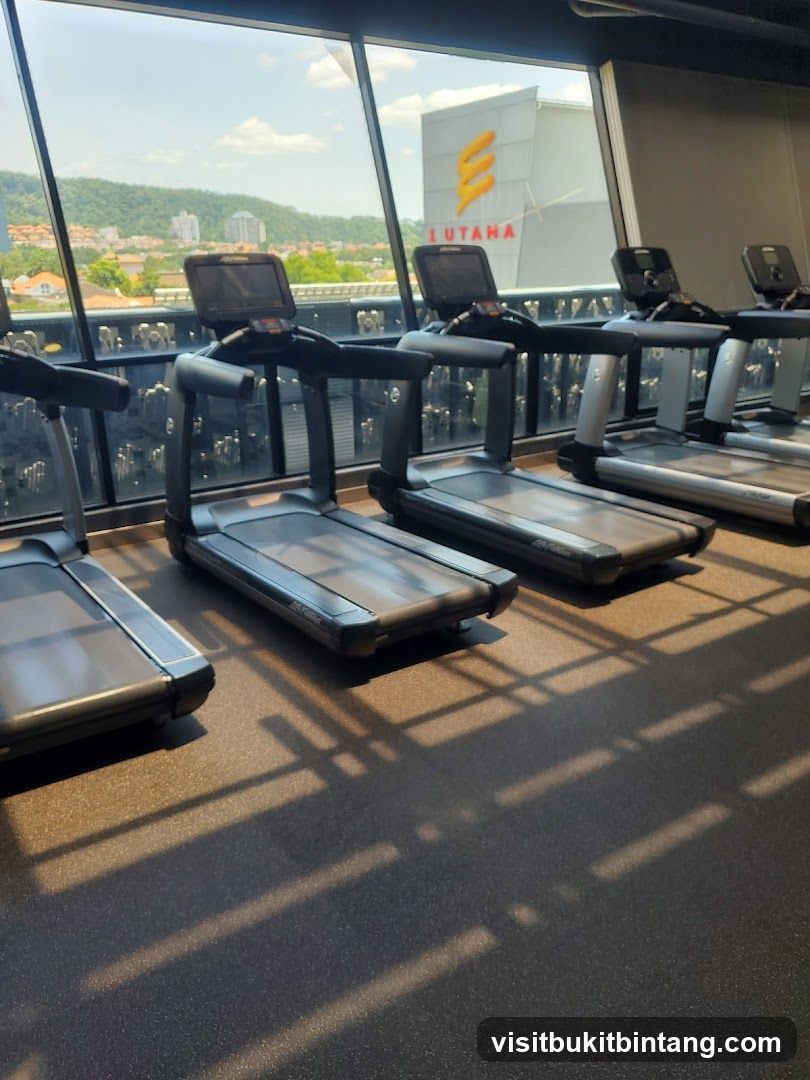 Gym Treadmills with a View