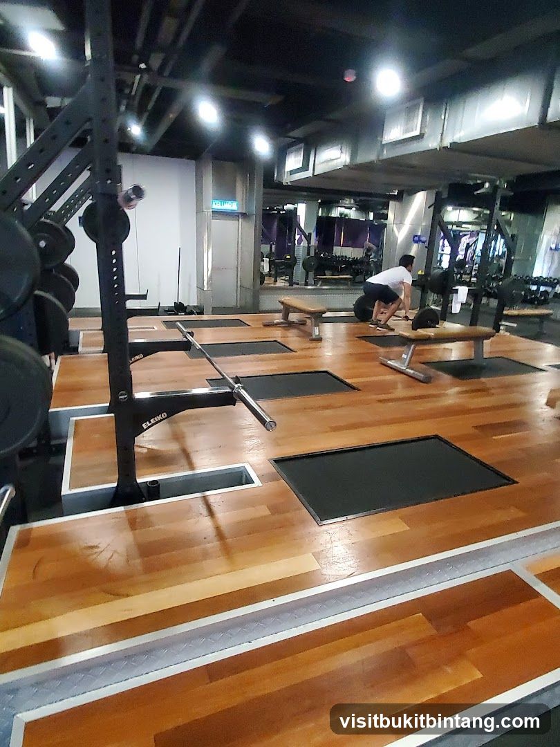 Gym Weightlifting Area