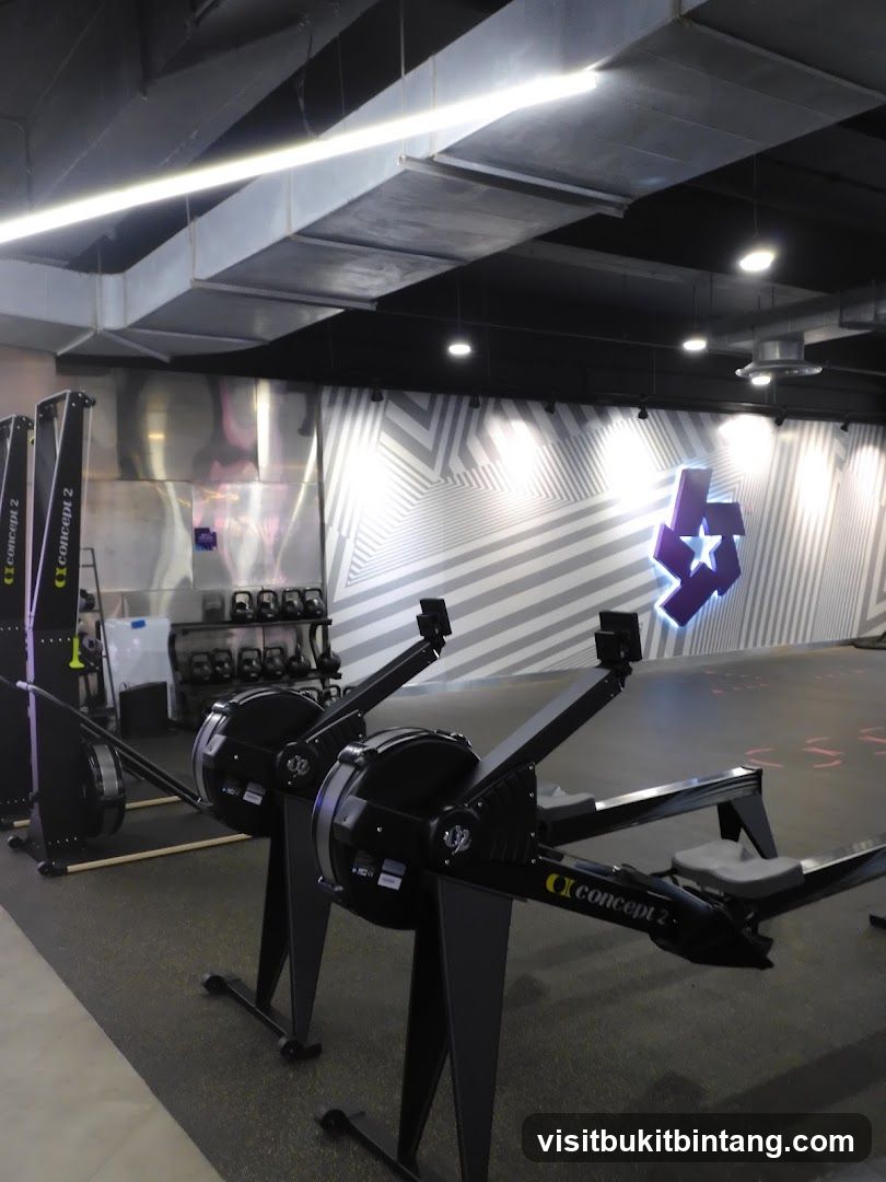 Gym Interior with Rowing Machines