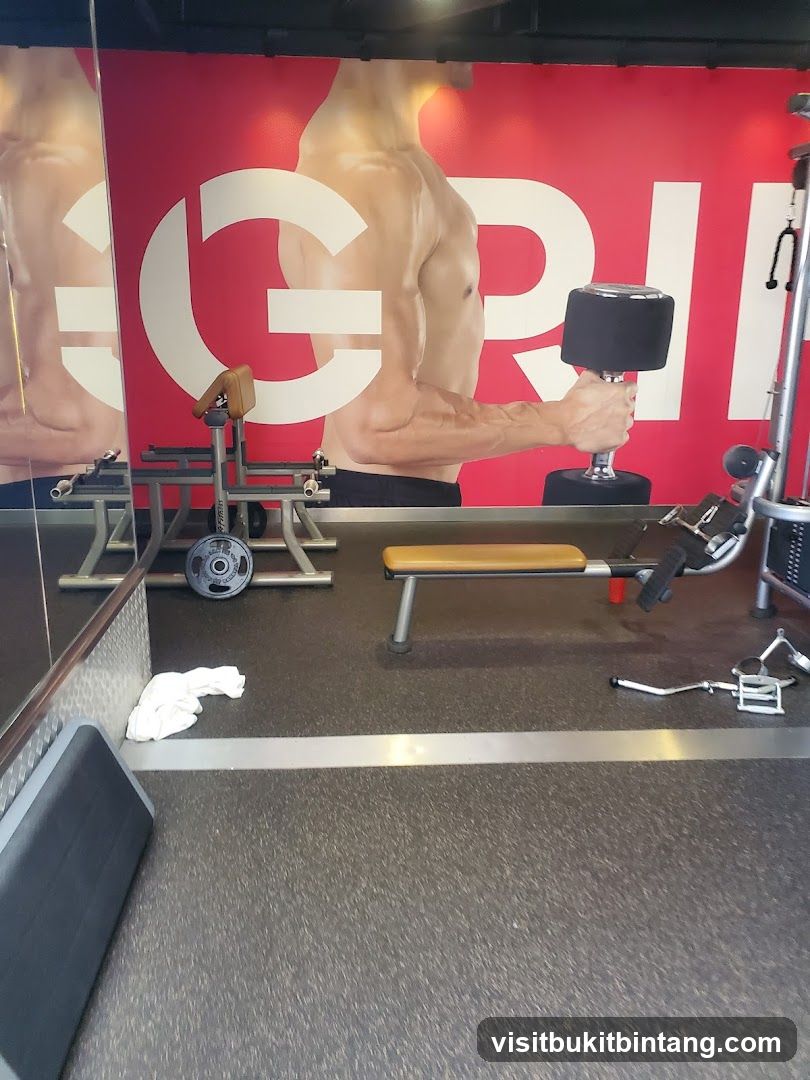 Gym Interior with Weightlifting Equipment