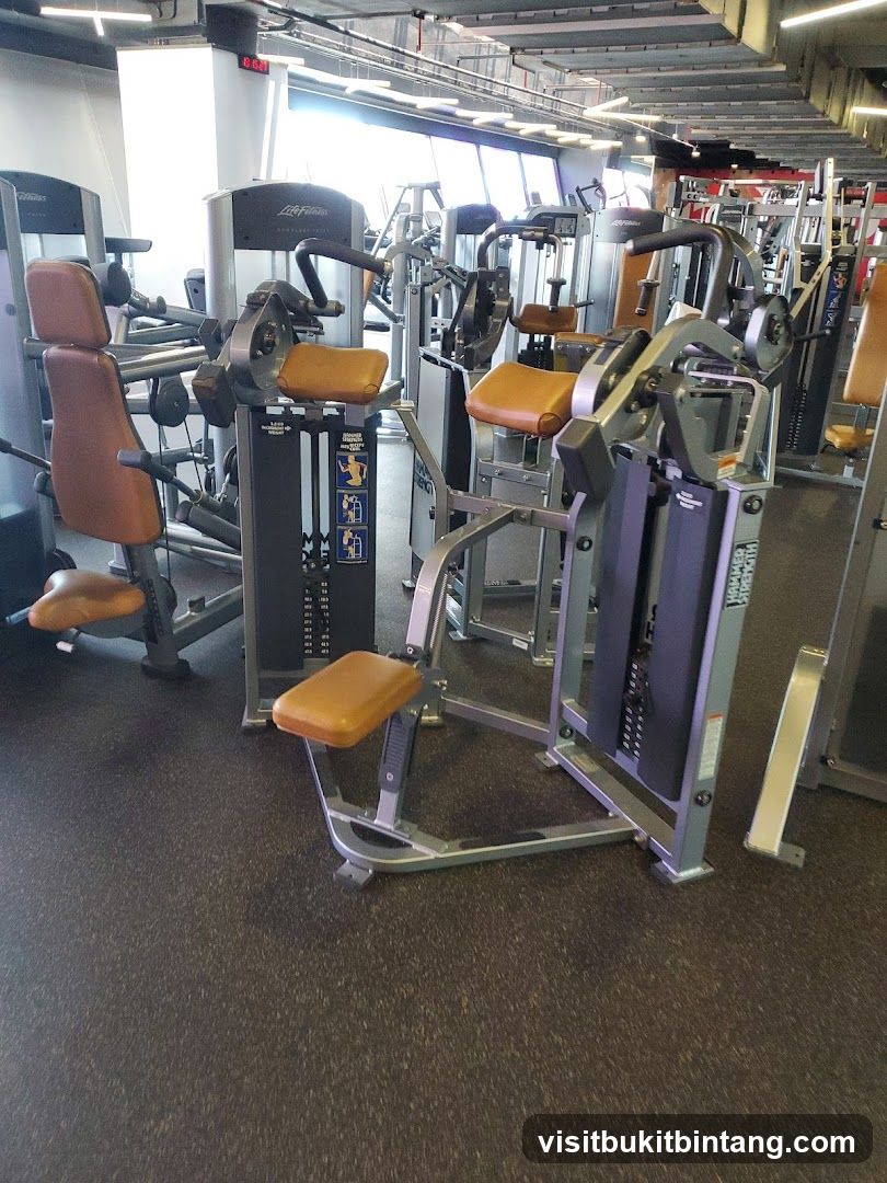 Gym Equipment